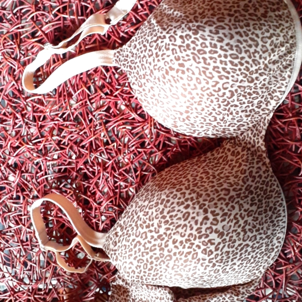 Underwire bra